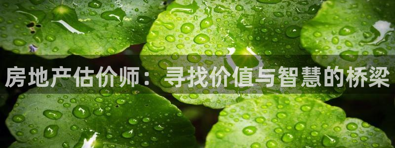 胡和记面官网：房地产估价师：寻找价值与智慧的桥梁