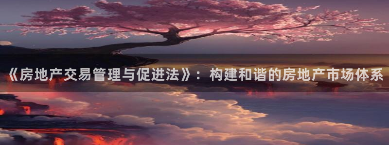 和记h188官网：《房地产交易管理与促进法》：构建和谐的房地