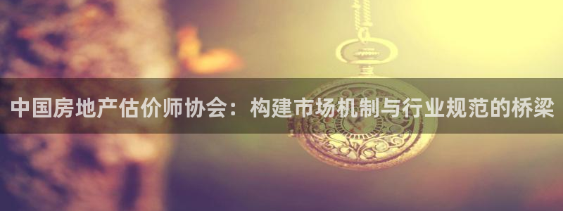 和记黄埔公司官网：中国房地产估价师协会：构建市场机制与行业规