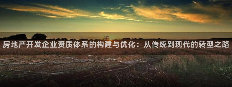澳门和记 官网：房地产开发企业资质体系的构建与优化：从传统到