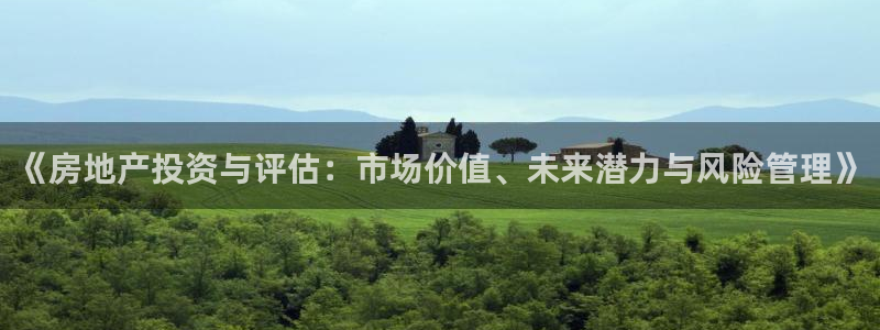 和记黄埔药业官网：《房地产投资与评估：市场价值、未来潜力与风