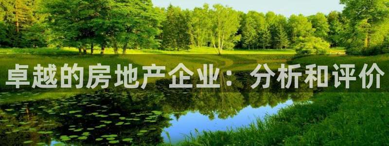 和记官网注册：卓越的房地产企业：分析和评价