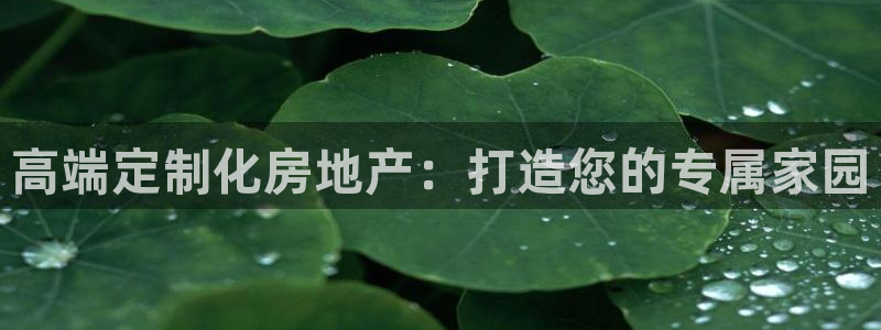 和记开户官网