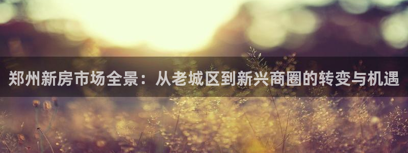 和记官网ap：郑州新房市场全景：从老城区到新兴商圈的转变与机