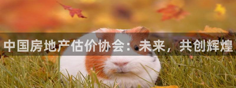 和记黄埔中药公司官网：中国房地产估价协会：未来，共创辉煌