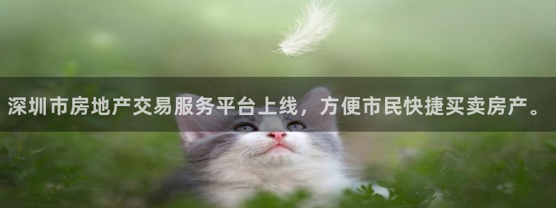 香港和记3官网：深圳市房地产交易服务平台上线，方便市民快捷买