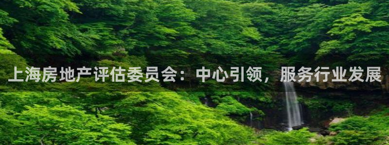 和生记官网：上海房地产评估委员会：中心引领，服务行业发展