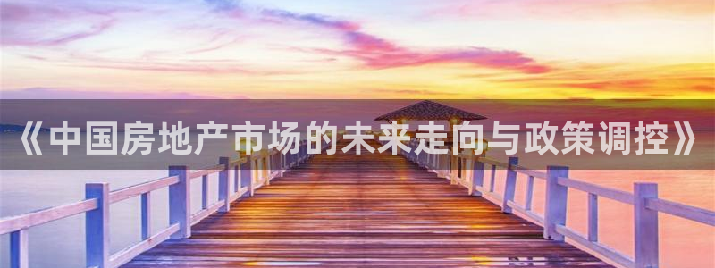 和记旗舰官网：《中国房地产市场的未来走向与政策调控》