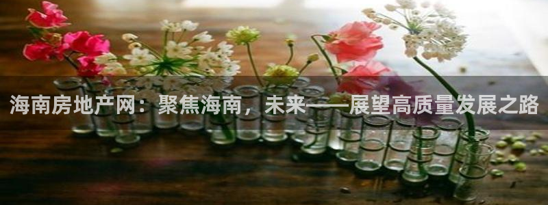 和记国际官网官网