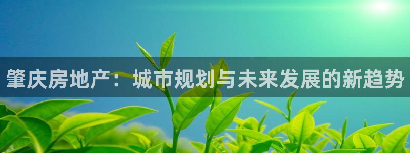 和记国际电讯官网：肇庆房地产：城市规划与未来发展的新趋势