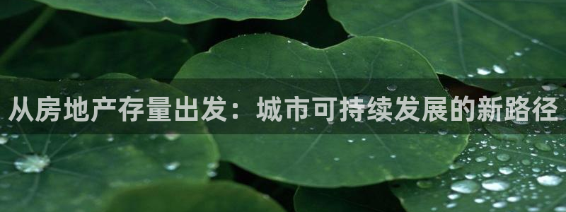 和记黄埔药业官网：从房地产存量出发：城市可持续发展的新路径