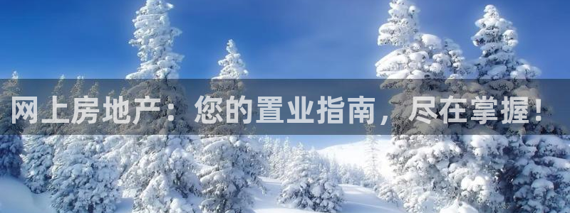 和记开户官网：网上房地产：您的置业指南，尽在掌握！