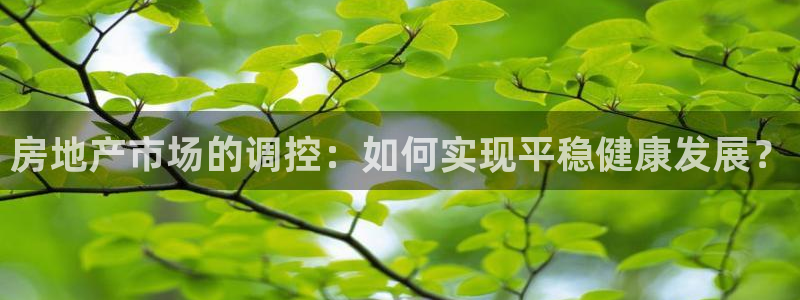 和记h88永久官网：房地产市场的调控：如何实现平稳健康发展？