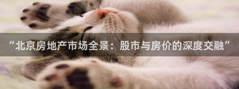 和记官网客服app：“北京房地产市场全景：股市与房价的深度交