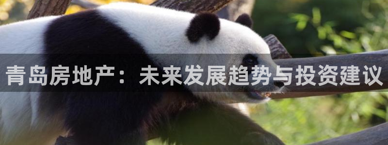 和记娱要多少钱h88285官网：青岛房地产：未来发展趋势与投