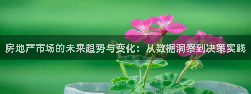 和记电讯澳门官网