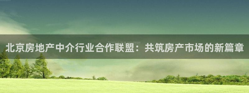 和记娱乐怡情博娱官网：北京房地产中介行业合作联盟：共筑房产市