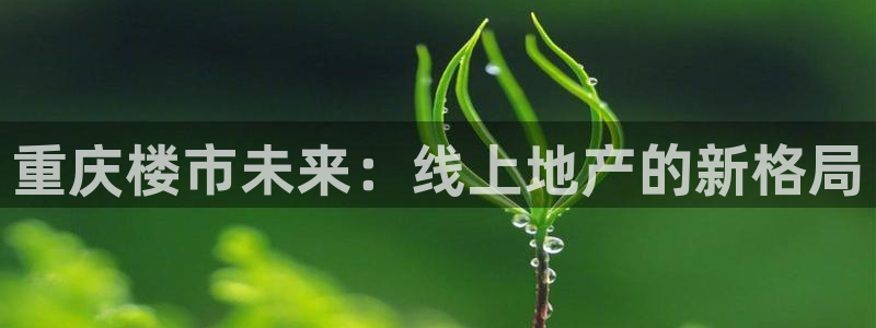香港和记官网：重庆楼市未来：线上地产的新格局