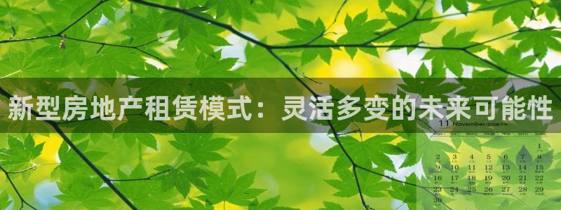 元和记官网：新型房地产租赁模式：灵活多变的未来可能性