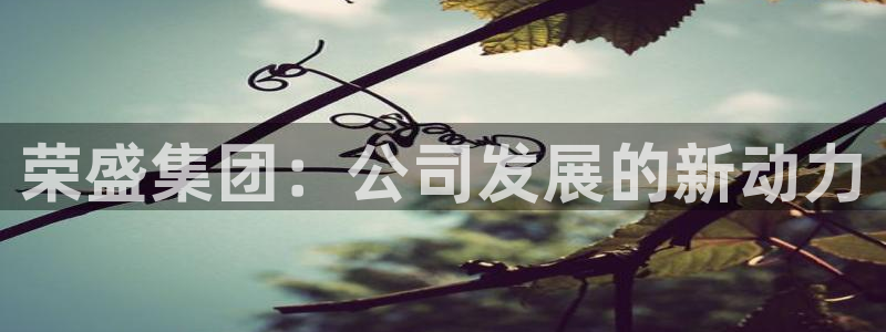 和记国际电讯官网：荣盛集团：公司发展的新动力