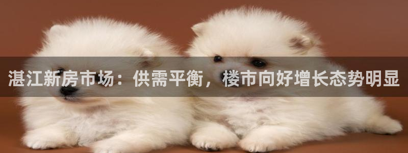 和记门店官网：湛江新房市场：供需平衡，楼市向好增长态势明显
