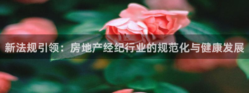 香港和记电讯官网：新法规引领：房地产经纪行业的规范化与健康发