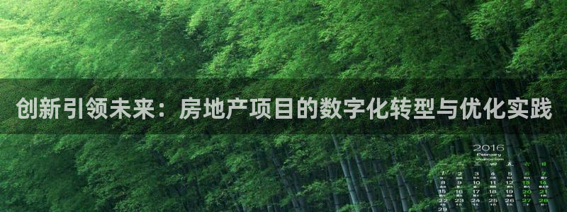 江苏和记伟业官网：创新引领未来：房地产项目的数字化转型与优化