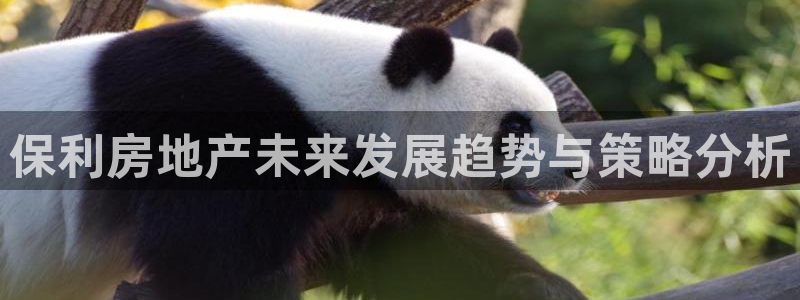 和记怡情赌博官网：保利房地产未来发展趋势与策略分析
