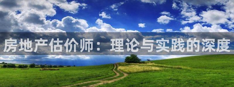 和记港口官网：房地产估价师：理论与实践的深度