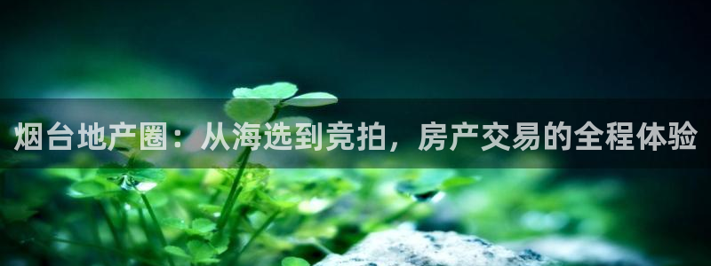 和记官网注册：烟台地产圈：从海选到竞拍，房产交易的全程体验