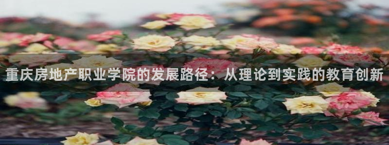 和记怡情官网入口：重庆房地产职业学院的发展路径：从理论到实践