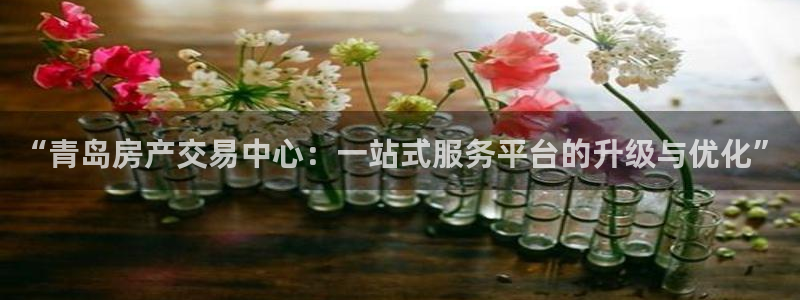和记电讯APP官网充值：“青岛房产交易中心：一站式服务平台的