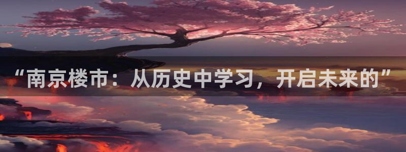 和记集团官网：“南京楼市：从历史中学习，开启未来的”