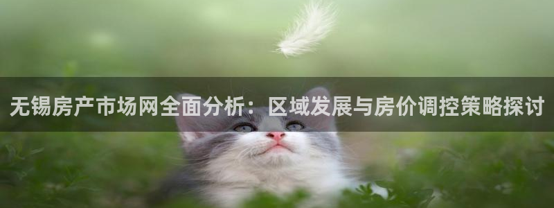 和记黄埔官网教育：无锡房产市场网全面分析：区域发展与房价调控