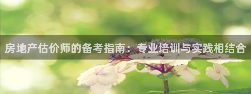 和记电讯3官网：房地产估价师的备考指南：专业培训与实践相结合