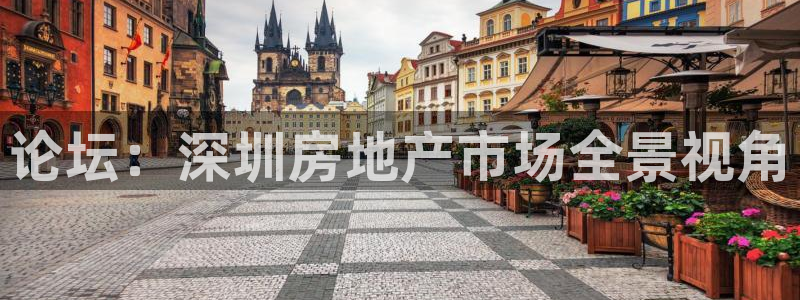 和记怡情赌博官网：论坛：深圳房地产市场全景视角