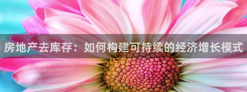 香港3和记官网：房地产去库存：如何构建可持续的经济增长模式