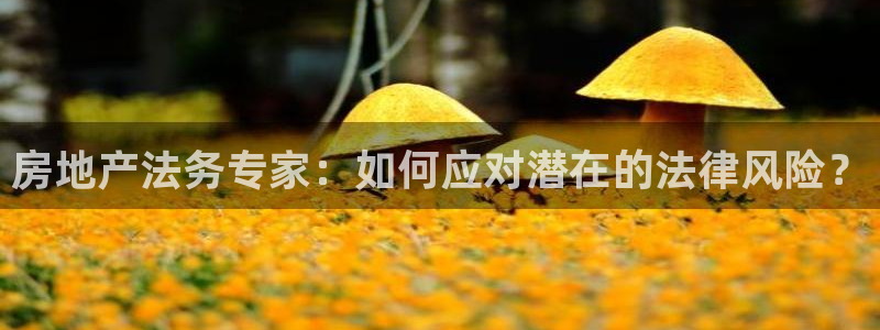 广州和德记官网：房地产法务专家：如何应对潜在的法律风险？
