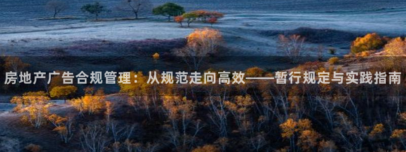 和记娱乐场所官网：房地产广告合规管理：从规范走向高效——暂行