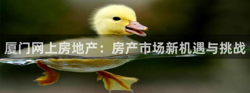 和记官网平台入口：厦门网上房地产：房产市场新机遇与挑战