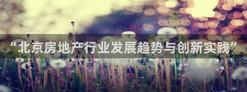 和记娱乐怡情博官网：“北京房地产行业发展趋势与创新实践”
