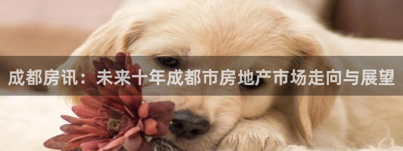 香港和记官网：成都房讯：未来十年成都市房地产市场走向与展望