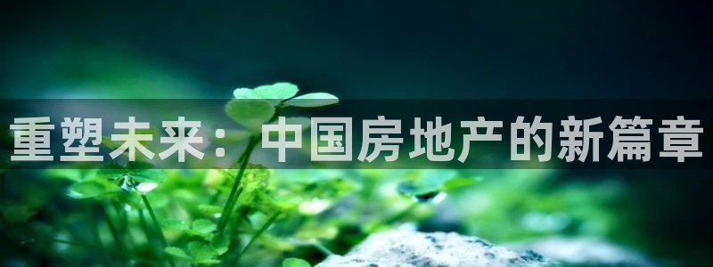 和记万佳官网：重塑未来：中国房地产的新篇章