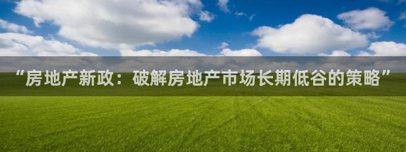和记电官网：“房地产新政：破解房地产市场长期低谷的策略”