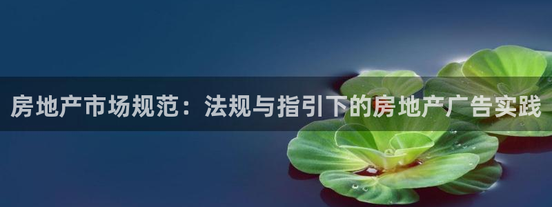 长江和记有限公司官网：房地产市场规范：法规与指引下的房地产广