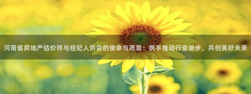 和记黄埔公司官网：河南省房地产估价师与经纪人协会的使命与愿景