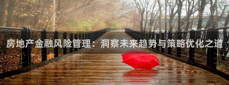 和记娱乐网官网：房地产金融风险管理：洞察未来趋势与策略优化之