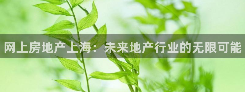 和记官网 公司