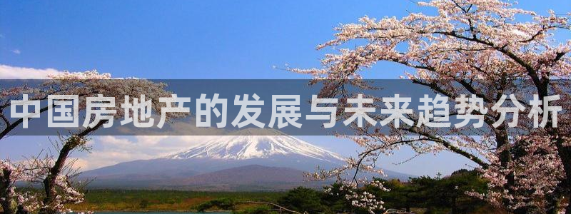 和记黄埔m 官网：中国房地产的发展与未来趋势分析
