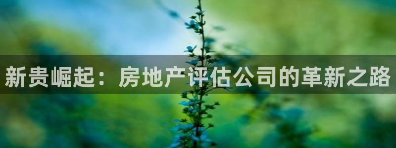 澳门3和记官网：新贵崛起：房地产评估公司的革新之路